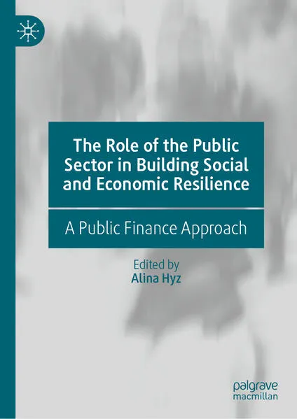 The Role of the Public Sector in Building Social and Economic Resilience
