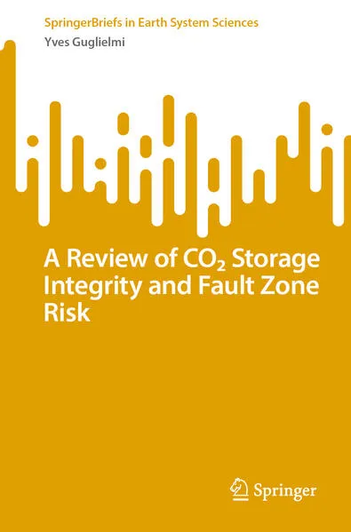 A Review of COâ‚‚ Storage Integrity and Fault Zone Risk