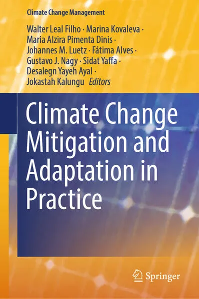Climate Change Mitigation and Adaptation in Practice