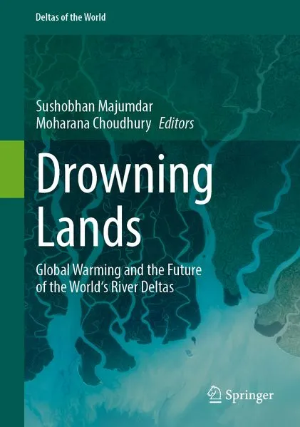 Cover: Drowning Lands