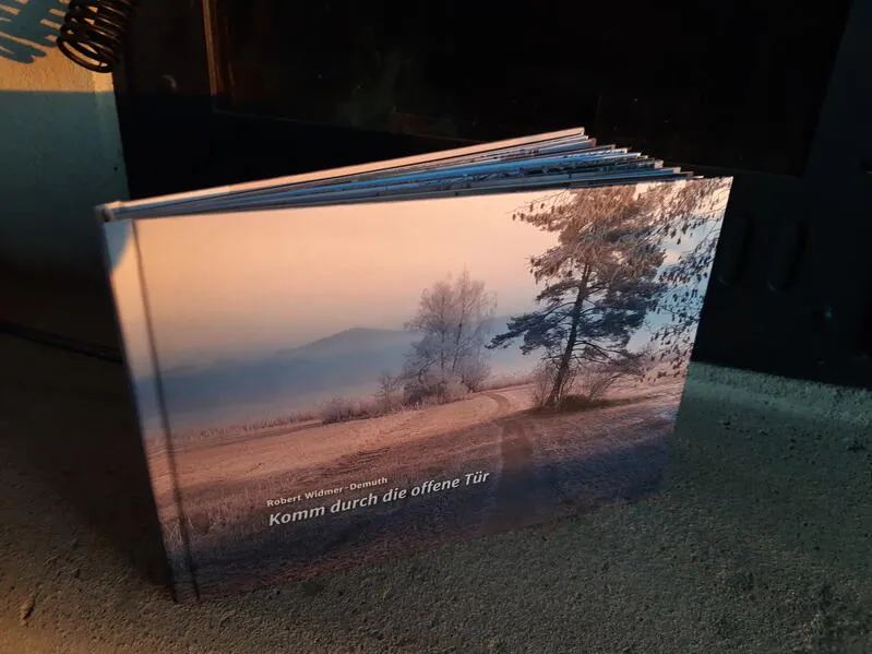 Cover: Komm durch die offene Tür