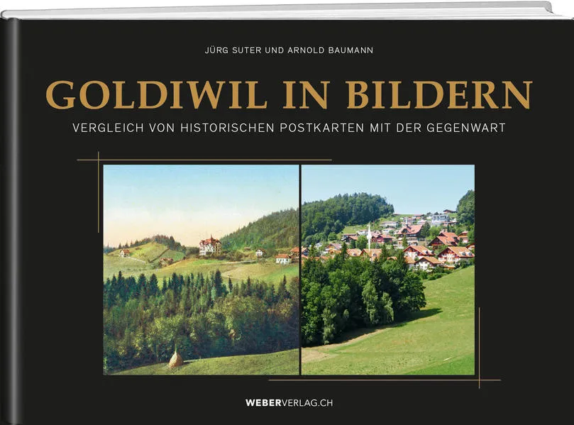 Cover: Goldiwil in Bildern