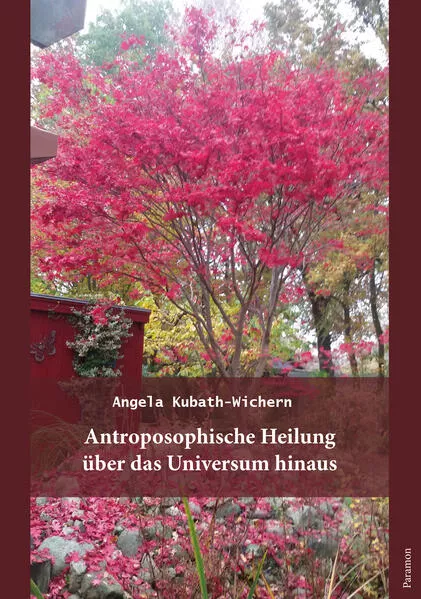 Cover: Anthroposophische Heilung über das Universum hinaus