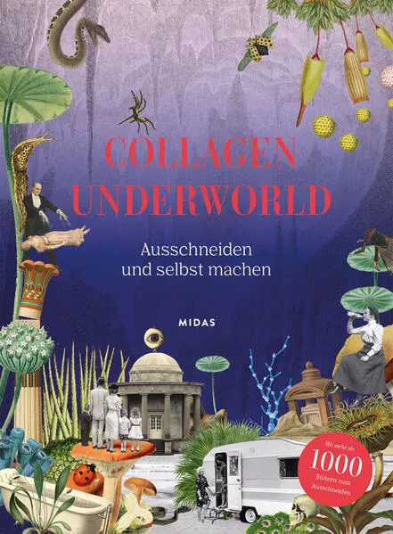 Cover: Collagen Underworld