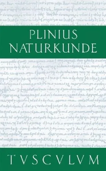 Cover: Steine: Edelsteine, Gemmen, Bernstein