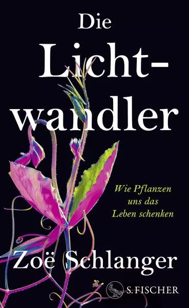 Cover: Die Lichtwandler
