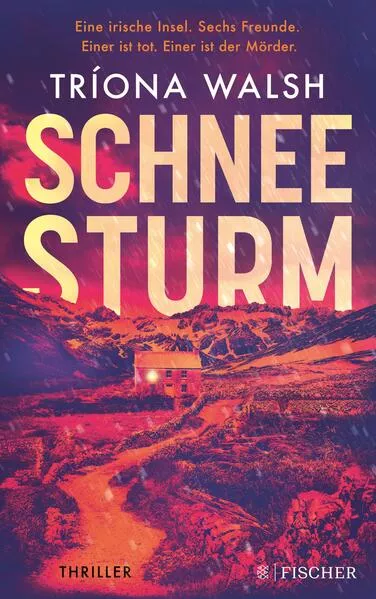 Cover: Schneesturm