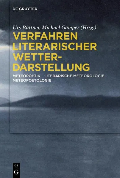Cover: Verfahren literarischer Wetterdarstellung