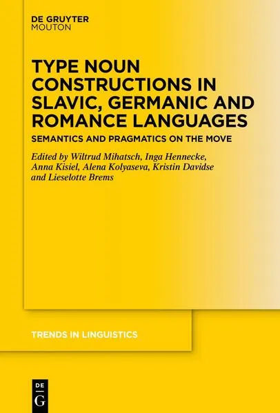Cover: Type Noun Constructions in Slavic, Germanic and Romance Languages