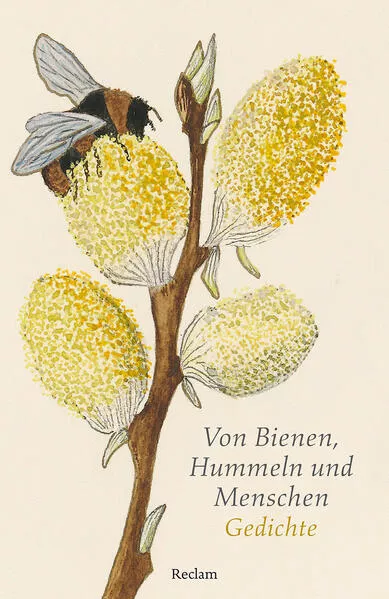 Cover: Von Bienen, Hummeln und Menschen