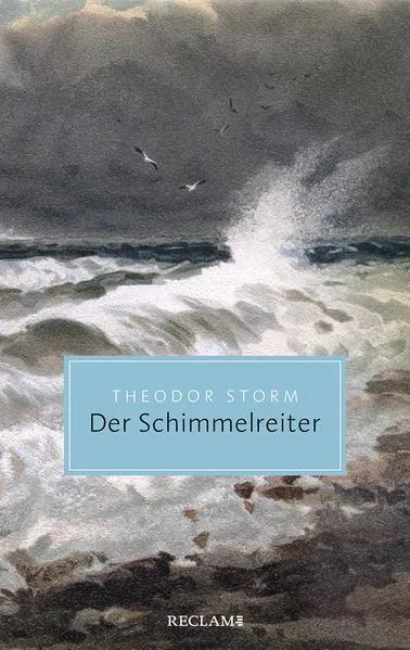 Cover: Der Schimmelreiter
