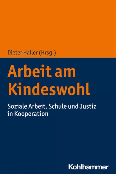 Cover: Arbeit am Kindeswohl