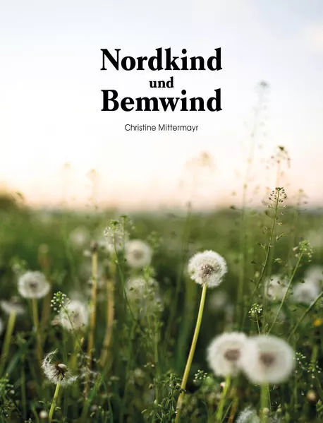 Cover: Nordkind und Bemwind