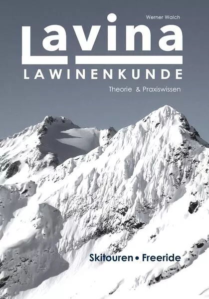 Cover: Lavina