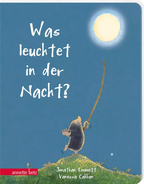 Cover: Was leuchtet in der Nacht?