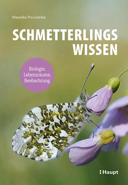 Cover: Schmetterlingswissen