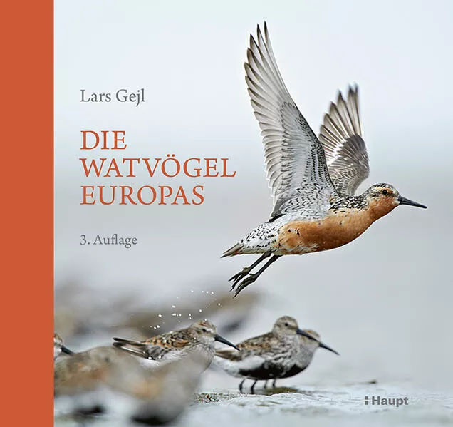 Cover: Die Watvögel Europas