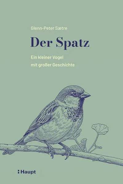 Der Spatz