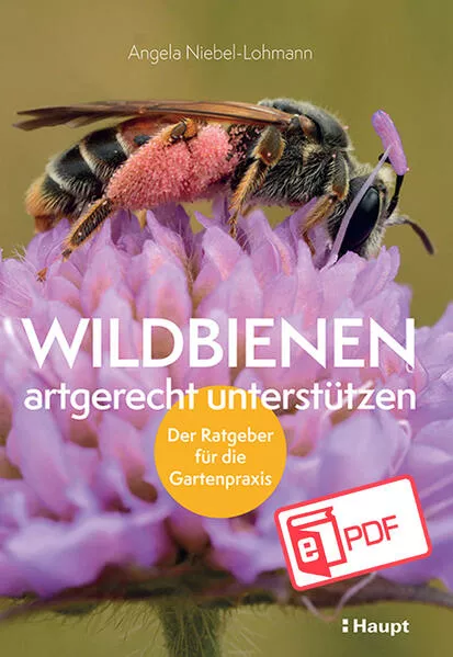 Wildbienen artgerecht unterstützen