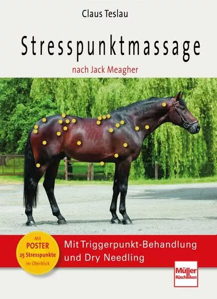 Cover: Stresspunktmassage nach Jack Meagher