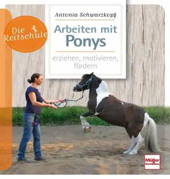 Cover: Arbeiten mit Ponys
