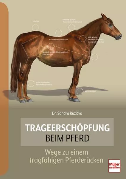 Cover: Trageerschöpfung beim Pferd