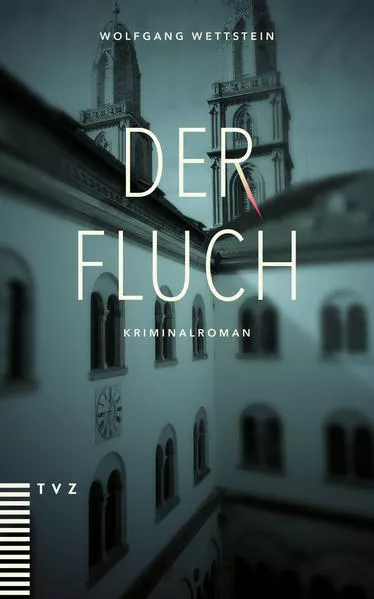 Cover: Der Fluch