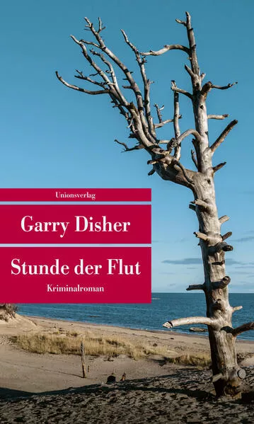 Cover: Stunde der Flut