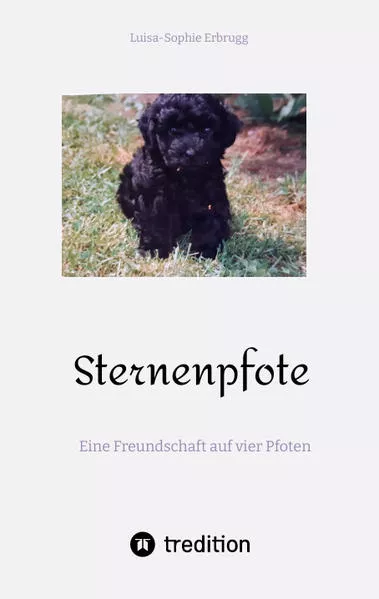 Cover: Sternenpfote