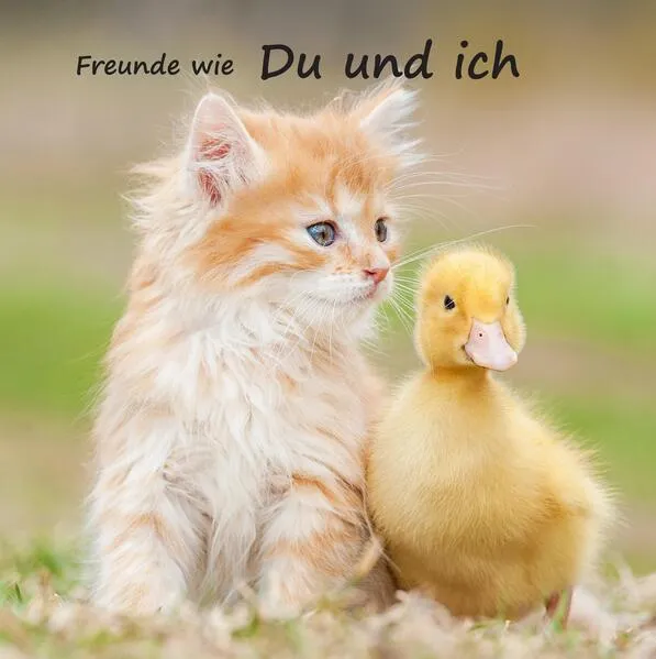 Cover: Freunde wie du und ich - das beste Freundebuch weit und breit