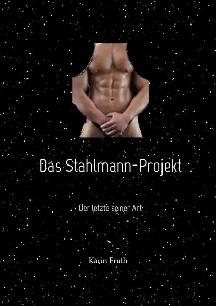 Cover: Das Stahlmann-Projekt