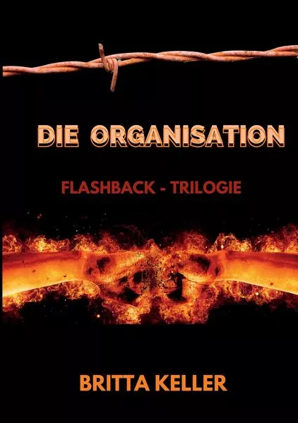 Cover: Die Organisation-Flashback-Trilogie