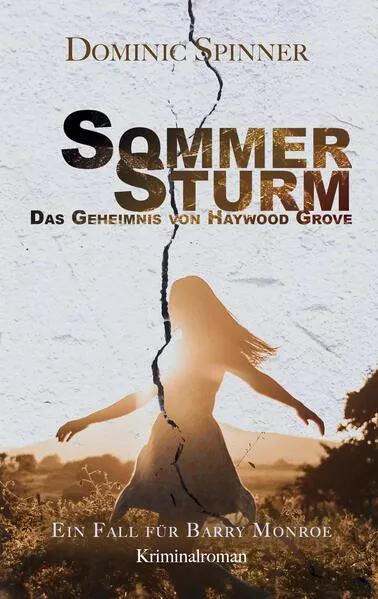 Cover: Sommersturm - Das Geheimnis von Haywood Grove: Der zweite Fall für Barry Monroe