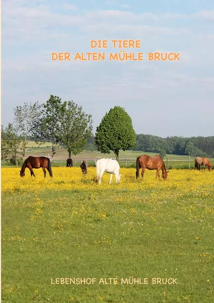 Cover: Wie kommt das Pony auf den Gnadenbrothof?