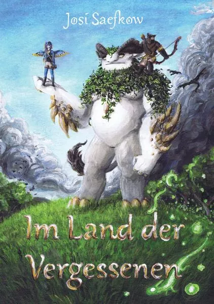 Cover: Im Land der Vergessenen - Fantasyroman mit mehr als 100 handgezeichneten Illustrationen.