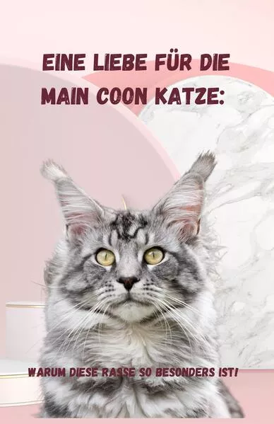 Eine Liebe für die Main Coon Katze</a>