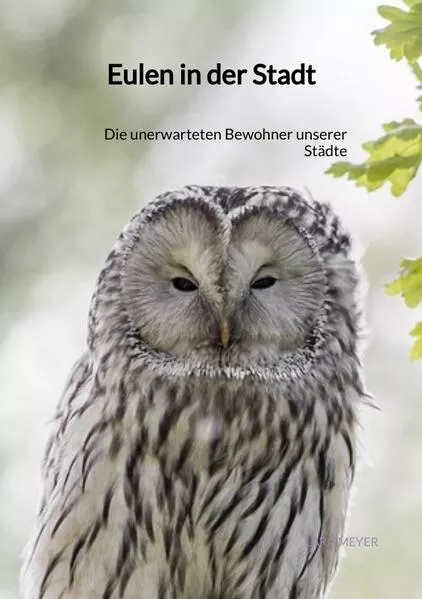 Cover: Eulen in der Stadt