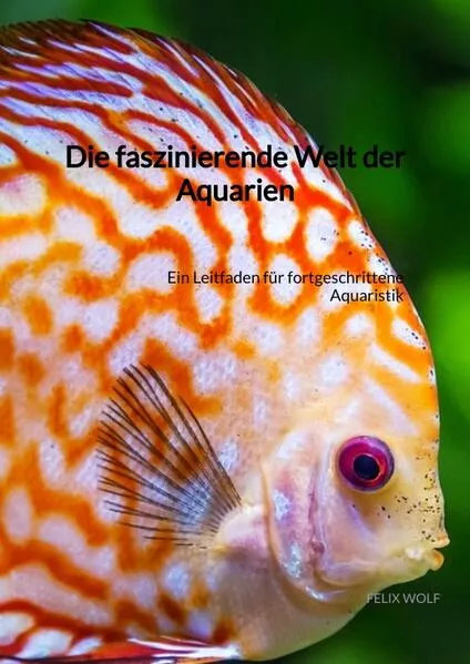 Cover: Die faszinierende Welt der Aquarien