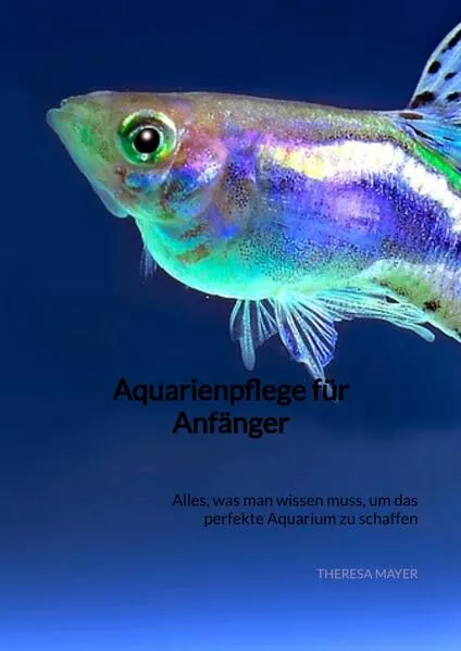Aquarienpflege für Anfänger</a>