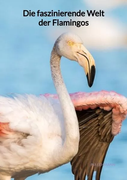 Cover: Die faszinierende Welt der Flamingos