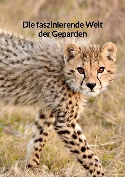 Cover: Die faszinierende Welt der Geparden