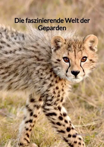 Cover: Die faszinierende Welt der Geparden