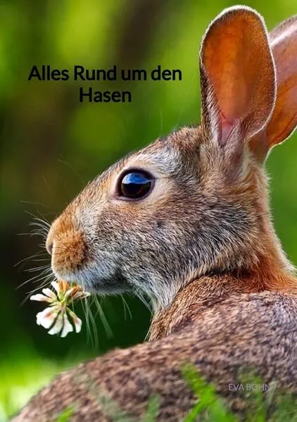 Cover: Alles Rund um den Hasen