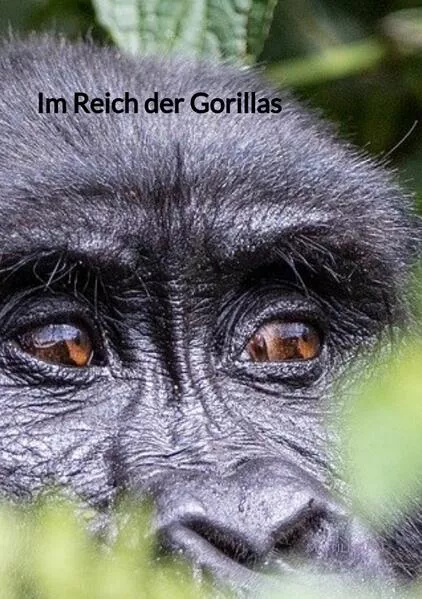 Cover: Im Reich der Gorillas