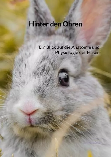 Hinter den Ohren</a>