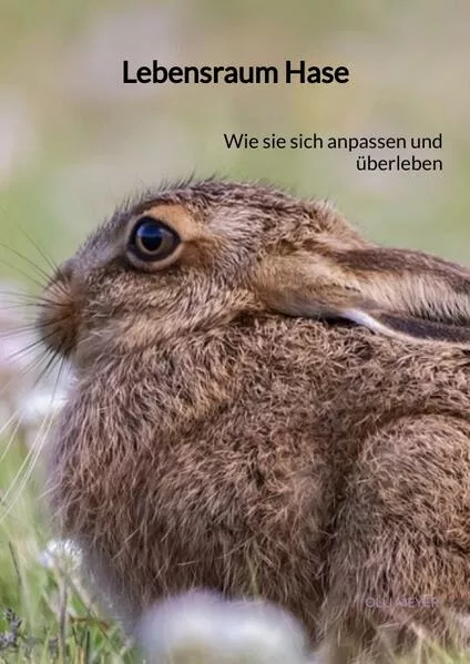 Cover: Lebensraum Hase