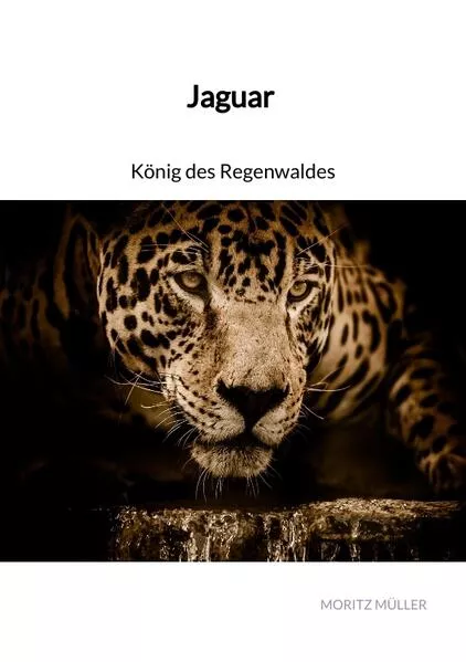 Cover: Jaguar - König des Regenwaldes
