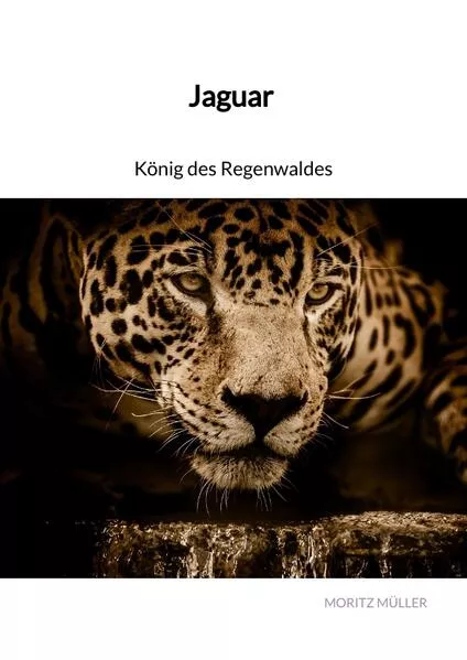 Cover: Jaguar - König des Regenwaldes