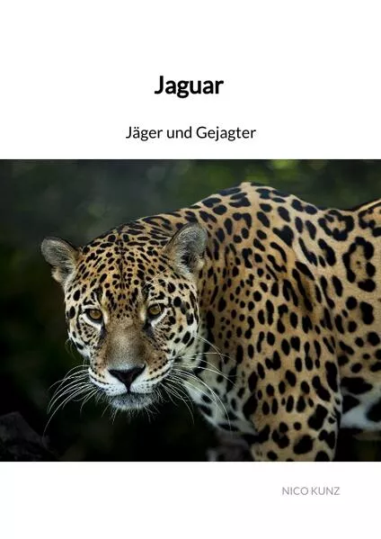 Jaguar - Jäger und Gejagter