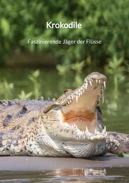 Cover: Krokodile - Faszinierende Jäger der Flüsse